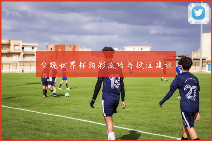 今晚世界杯购彩技巧与投注建议