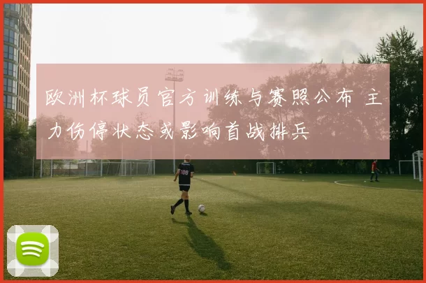 欧洲杯球员官方训练与赛照公布 主力伤停状态或影响首战排兵
