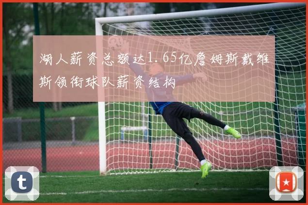 湖人薪资总额达1.65亿詹姆斯戴维斯领衔球队薪资结构